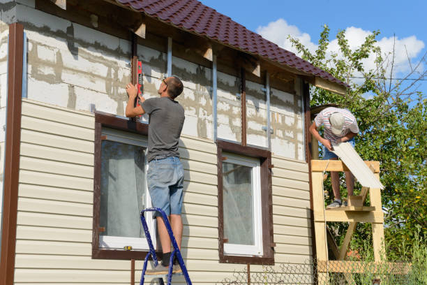 Best Custom Trim and Detailing for Siding  in Svis, IL